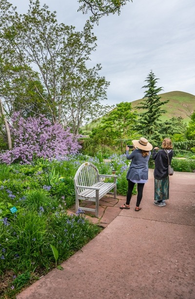 People enjoying a stroll in Red Butte Garden.