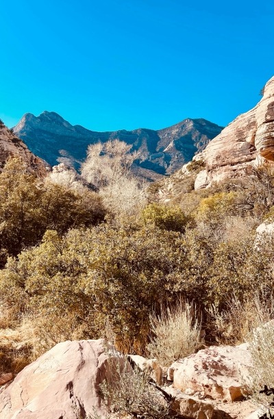 Hiking in Red Rock Canyon.