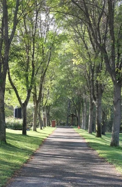 A walking trail near the Fraser River.