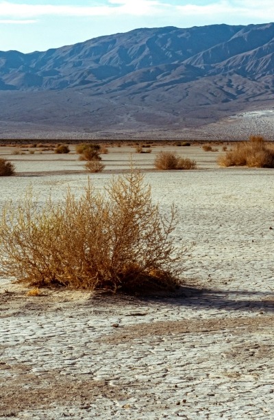 Death Valley, CA, USA